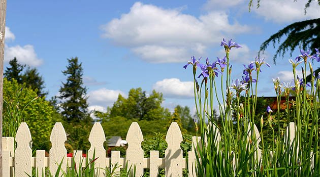 Plantations sur le terrain d'autrui : que dit la jurisprudence ? Plantations sur le terrain d'autrui : que dit la jurisprudence ?