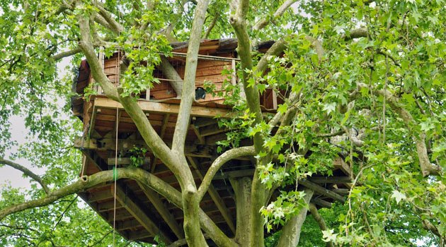 Une cabane perchée dans les arbres : quelles règles ? Une cabane perchée dans les arbres : quelles règles ?