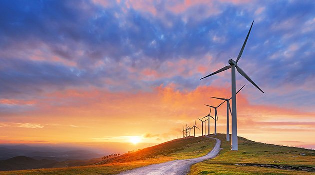 Vote de la loi sur la transition énergétique Vote de la loi sur la transition énergétique