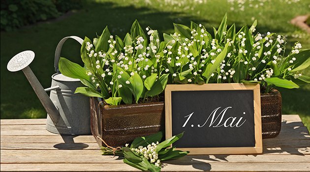 En mai, fais ce qu'il te plaît - Pour la vente de muguet aussi&nbsp;?