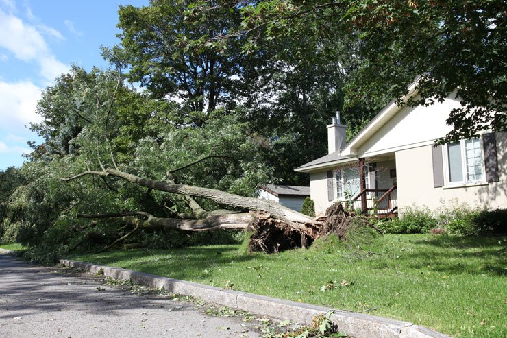 Après l'orage : quelle indemnisation ?