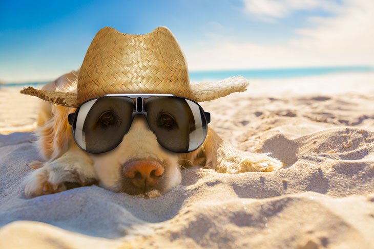 Canicule - Les bons gestes pour rester au frais Canicule - Les bons gestes pour rester au frais