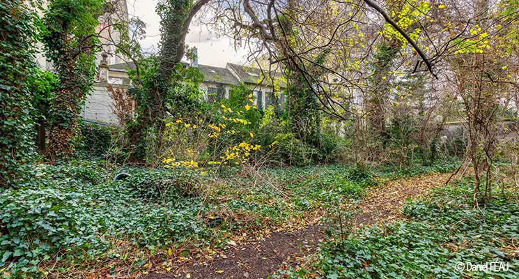 Déjà vendue à Paris ! Maison à 35 millions d'euros avec travaux episode artwork