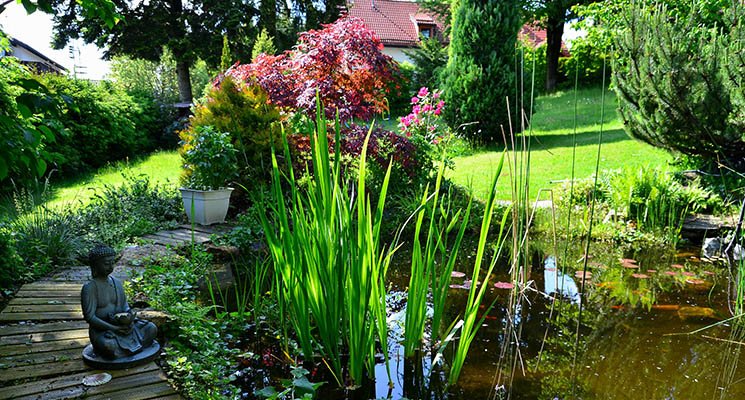 L'immobilier se met aussi au végan ! L'immobilier se met aussi au végan !