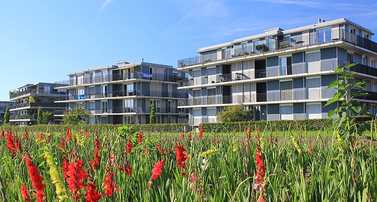Comment déclarer son investissement locatif ? Comment déclarer son investissement locatif ?