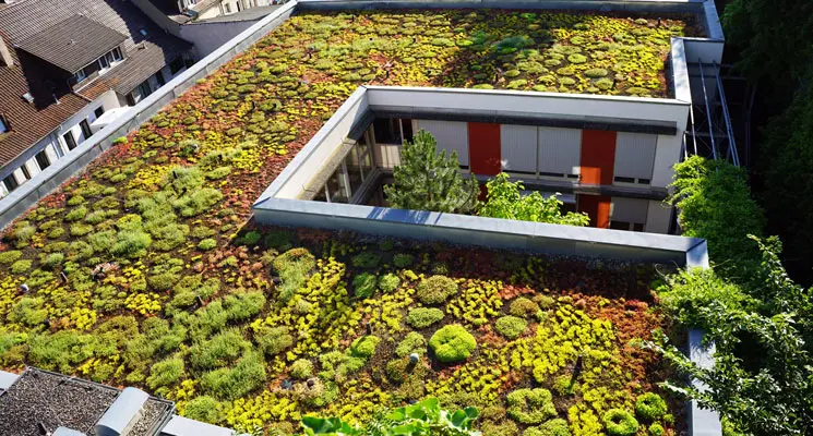 Un jardin sur le toit episode artwork