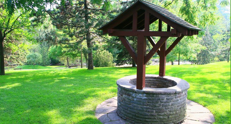Creuser un puits et récupérer l'eau de pluie : pour un jardin économique et écologique Creuser un puits et récupérer l'eau de pluie : pour un jardin économique et écologique