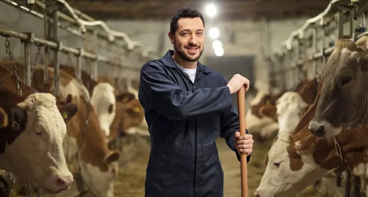 Troubles de voisinage en milieu rural : un cadre juridique renforcé episode artwork