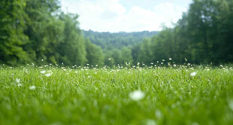 Comment optimiser la simulation de vos frais de notaire sur un terrain non constructible ? Comment optimiser la simulation de vos frais de notaire sur un terrain non constructible ?