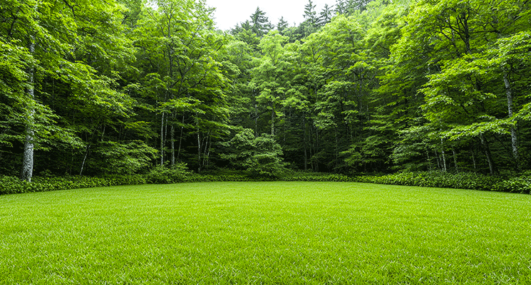 Tout savoir sur la simulation des frais de notaire pour un terrain non constructible