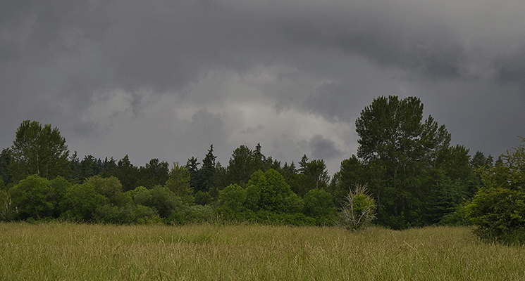 Les frais de notaire&nbsp;: Terrain non constructible