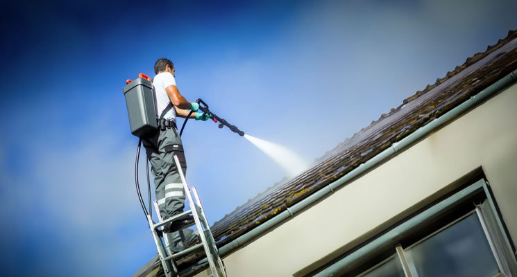 Démoussage de toiture&nbsp;: pourquoi et comment redonner un coup d'éclat à votre maison