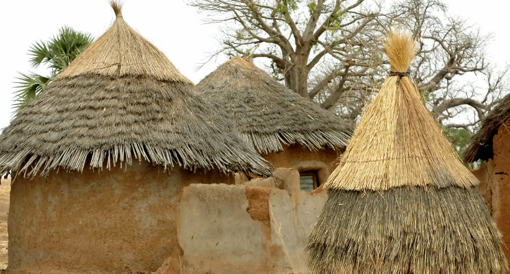 Bien immobilier écologique&nbsp;: la maison en torchis durable et saine
