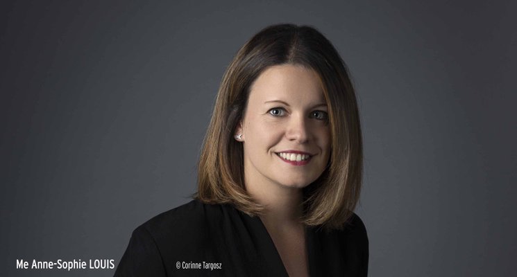 Villes moyennes d'Ille-et-Vilaine&nbsp;: les nouveaux territoires de l'accession