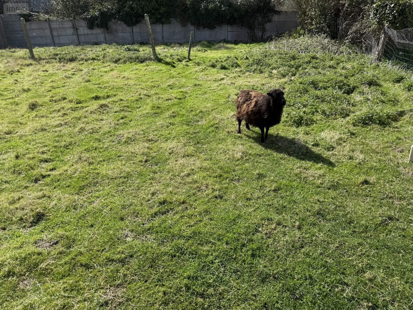 Terrain a batir a vendre Pléneuf-Val-André 22370 Côtes-d'Armor 596 m2  107635 euros