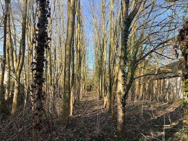 Terrain a batir a vendre Caulnes 22350 Côtes-d'Armor 2069 m2  63600 euros