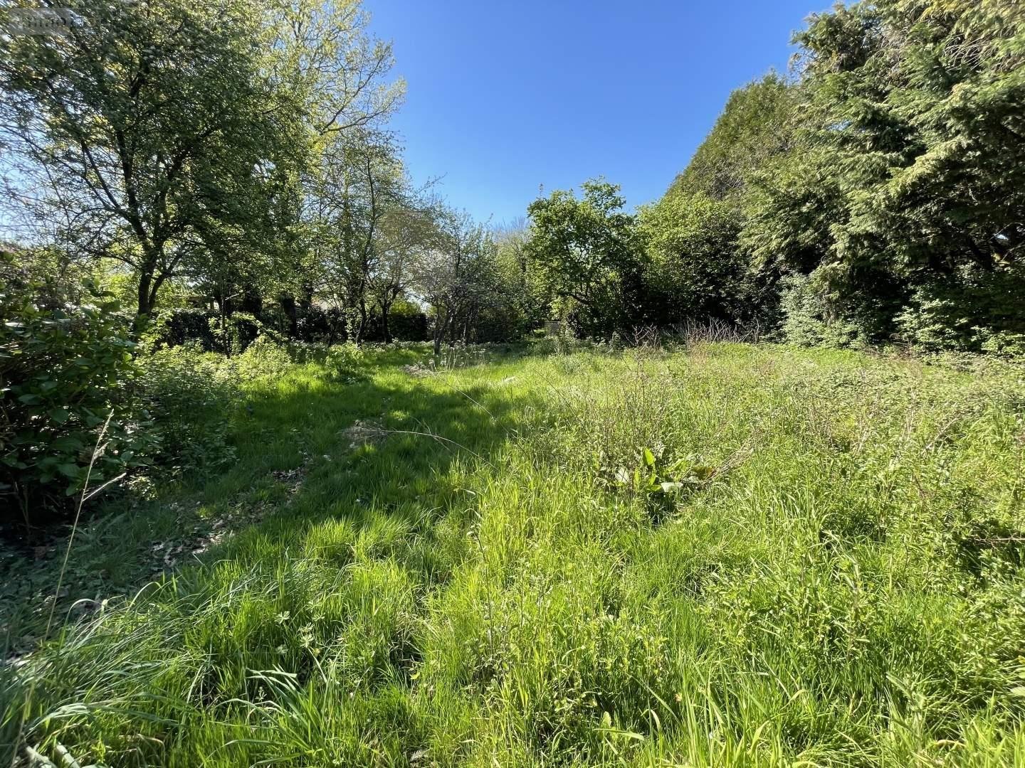 Terrain a batir a vendre Domagné 35113 Ille-et-Vilaine 1322 m2  86000 euros