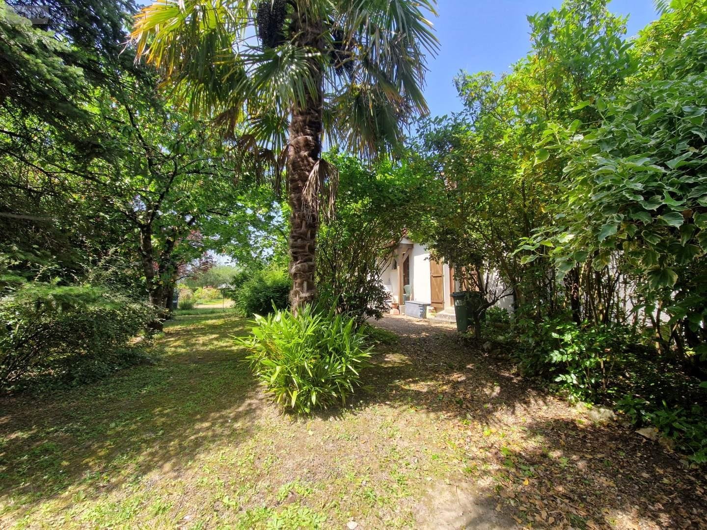 Maison a vendre Fondettes 37230 Indre-et-Loire 120 m2 6 pièces 339999 euros