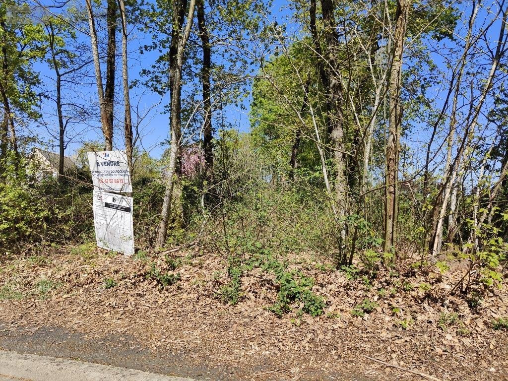 Terrain a batir a vendre Luzillé 37150 Indre-et-Loire 582 m2  36600 euros