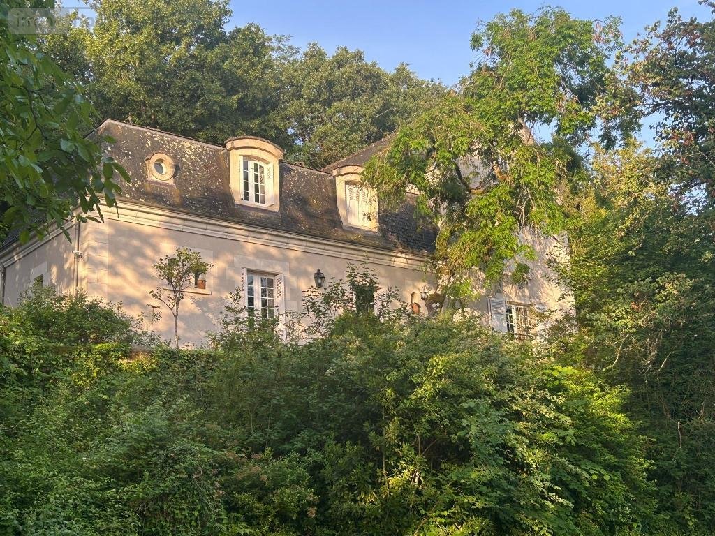 Maison a vendre Athée-sur-Cher 37270 Indre-et-Loire 208 m2 7 pièces 620000 euros