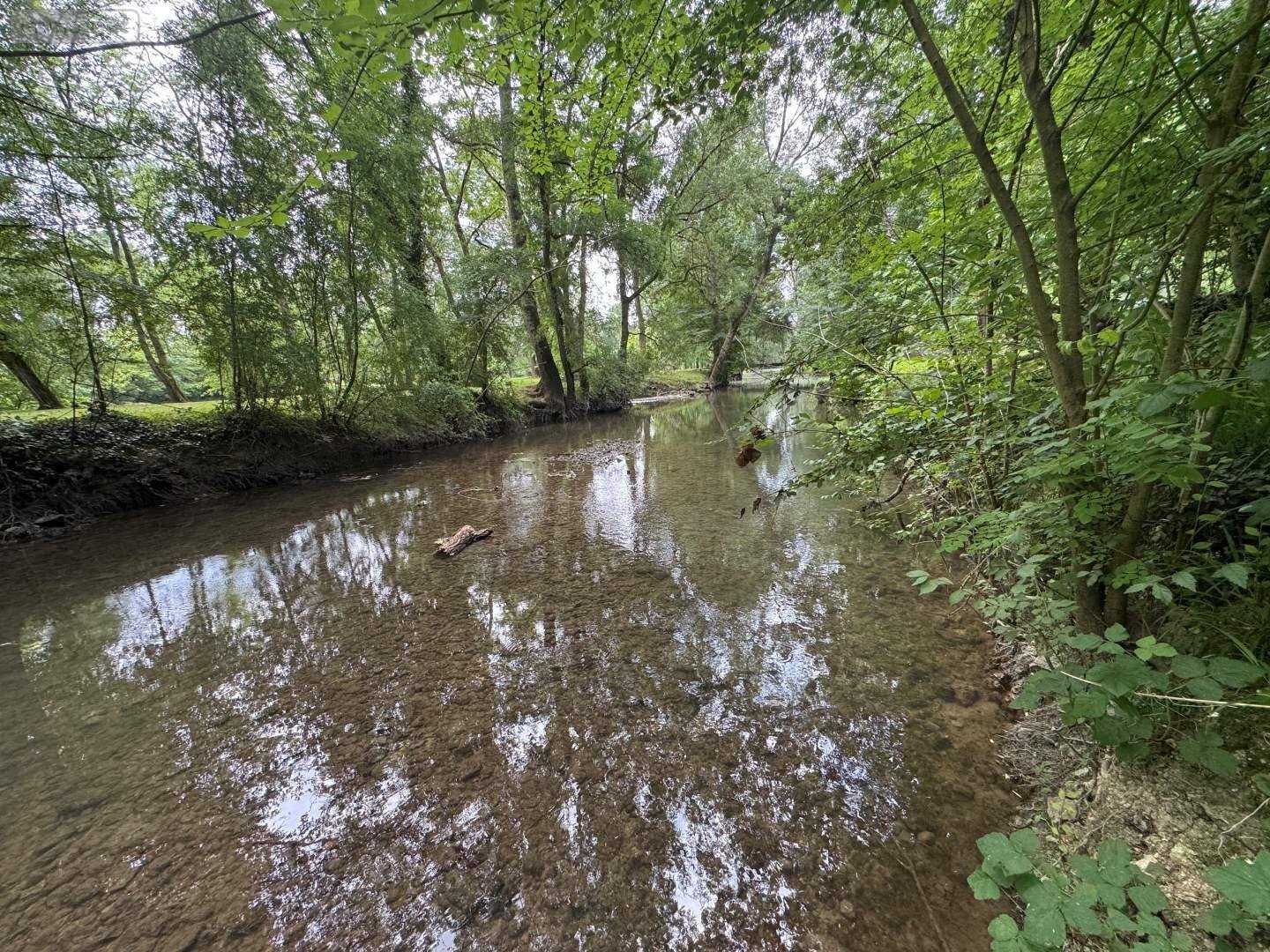 Terrains de loisirs bois etangs a vendre Truyes 37320 Indre-et-Loire 34820000 m2  24910 euros