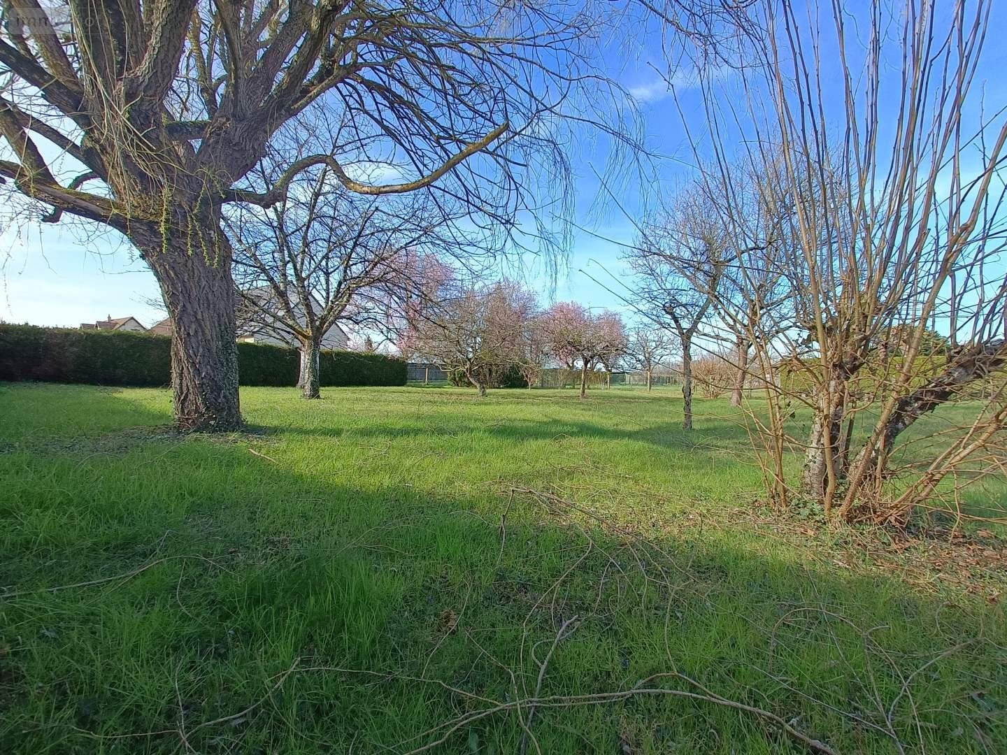 Terrain a batir a vendre Savonnières 37510 Indre-et-Loire 626 m2  99500 euros