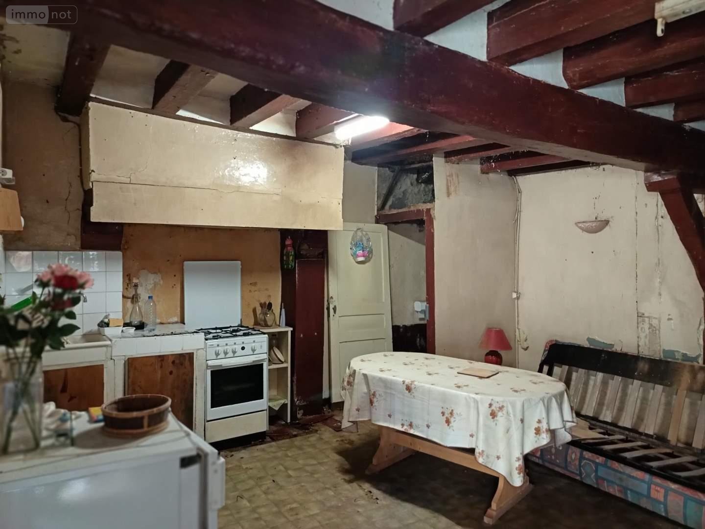 Maison a vendre Chaumont-sur-Loire 41150 Loir-et-Cher 42 m2 2 pièces 54500 euros