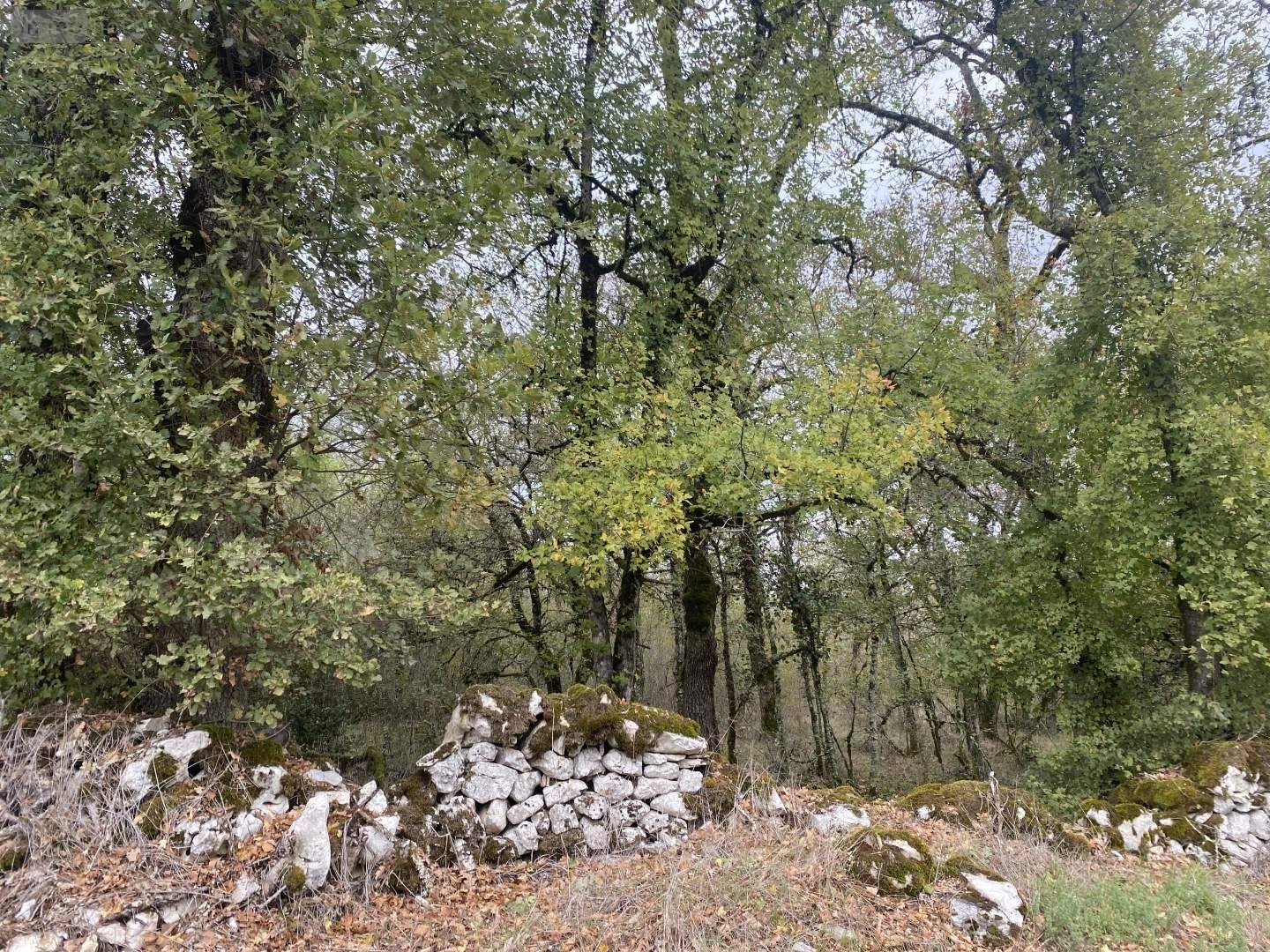 Terrain a batir a vendre Aujols 46090 Lot 4305 m2  63480 euros