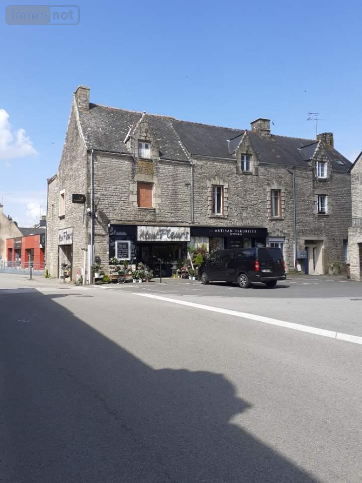 Immeuble a vendre Allaire 56350 Morbihan 520 m2  384800 euros