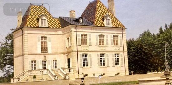 propriete a vendre Saint-Jean-sur-Reyssouze 01560 Ain 350 m2 11 pièces 3500000 euros