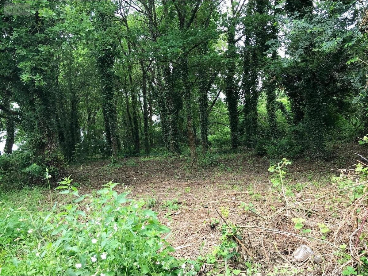 Terrain a batir a vendre Aubinges 18220 Cher 1257 m2  31500 euros