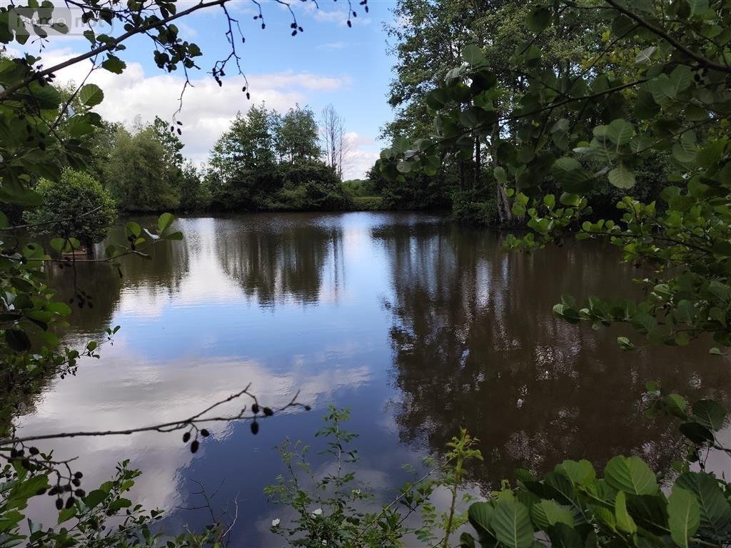 Immeuble a vendre Hannappes 08290 Ardennes  16444 euros