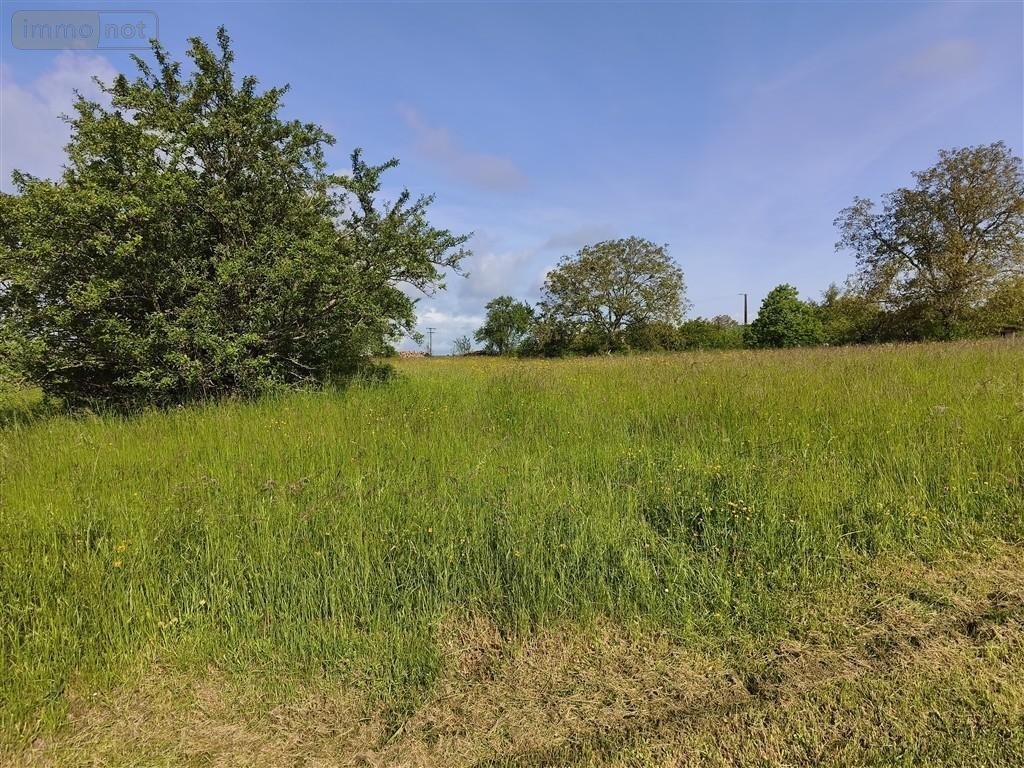 Terrain a batir a vendre Baâlons 08430 Ardennes 800 m2  23675 euros
