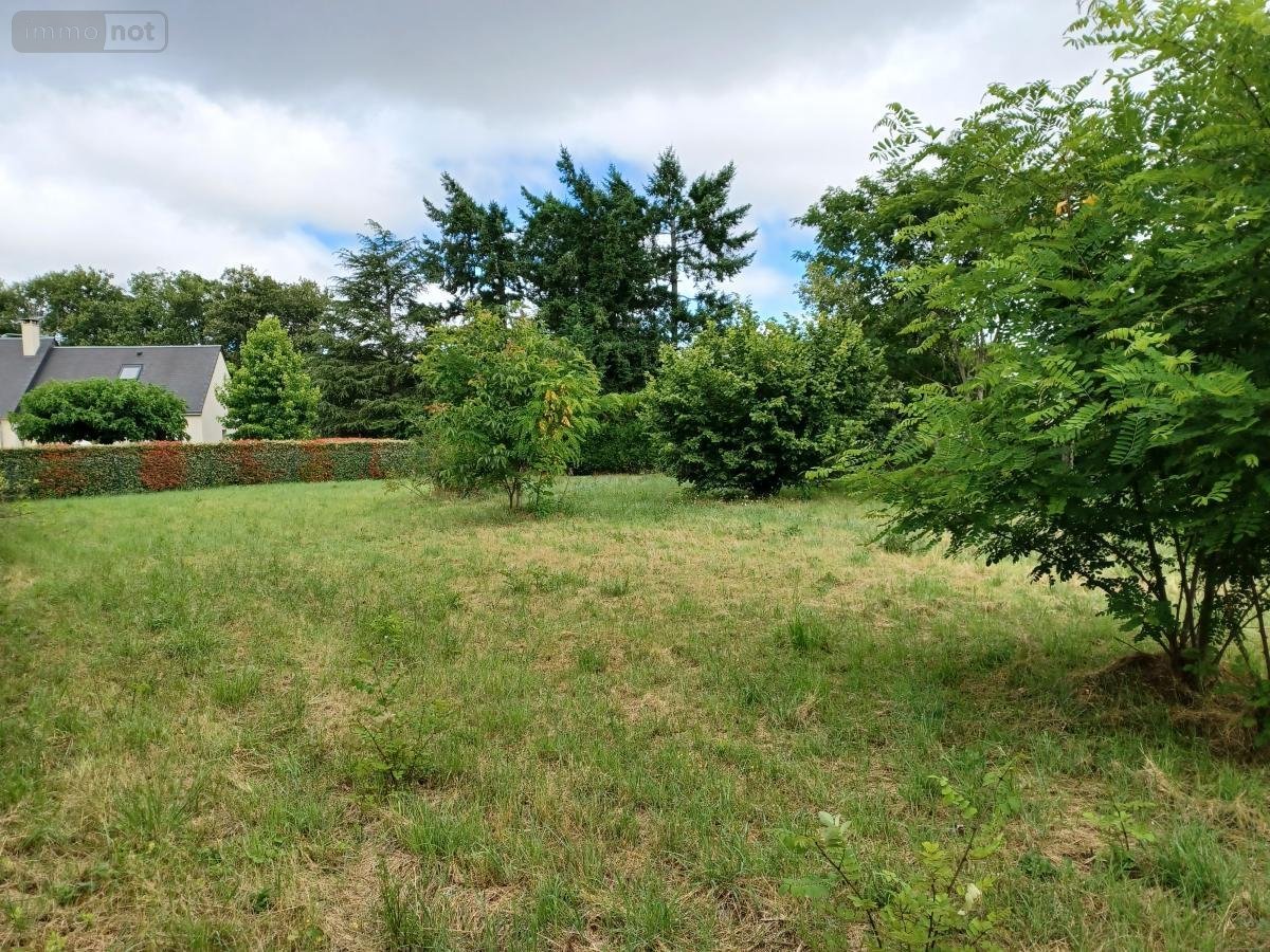 Terrain a batir a vendre Chinon 37500 Indre-et-Loire 1642 m2  64000 euros