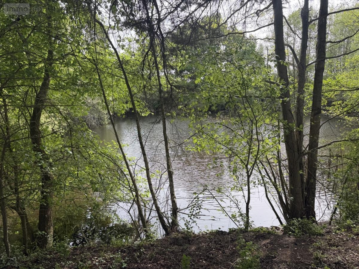 Terrains de loisirs bois etangs a vendre Saint-Martin-du-Bois 49500 Maine-et-Loire 5094 m2  48600 euros