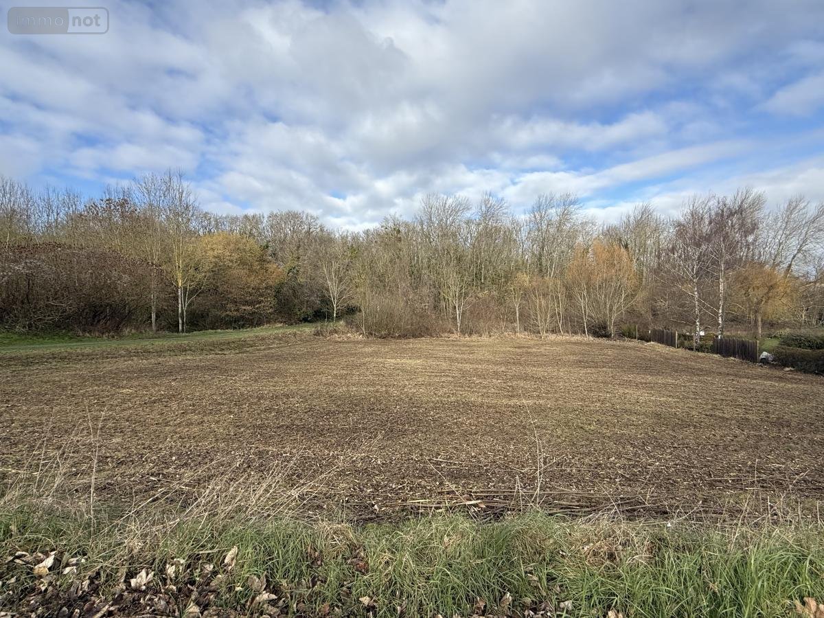 Terrain a batir a vendre Rosnay 51390 Marne 1008 m2  155000 euros