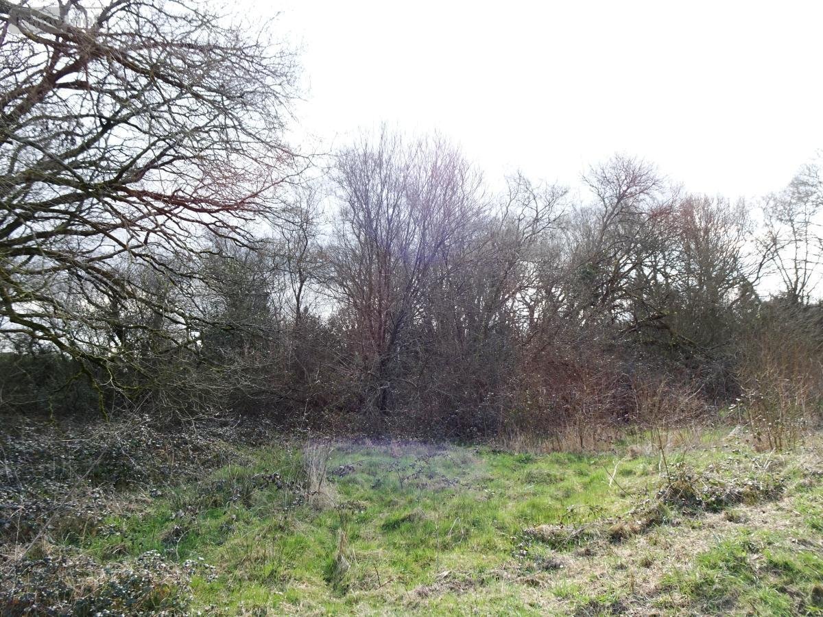 Terrains de loisirs bois etangs a vendre Saint-Marcel 56140 Morbihan 4322 m2  3000 euros
