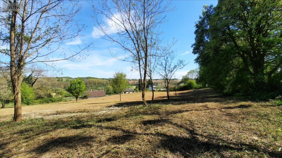 Terrain a batir a vendre Vicq-sur-Nahon 36600 Indre 5000 m2  17000 euros