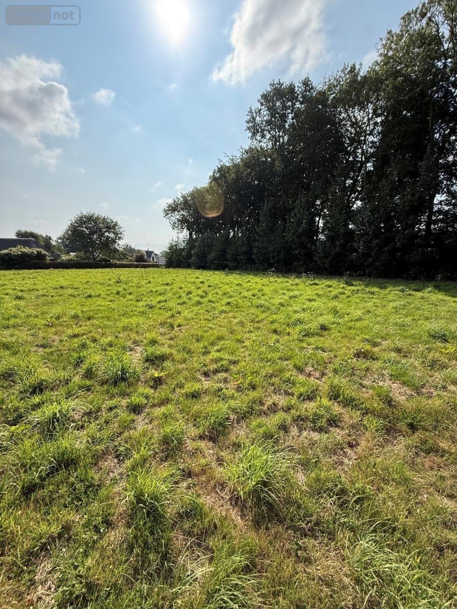 Terrain a batir a vendre Yvetot 76190 Seine-Maritime 1100 m2  110000 euros