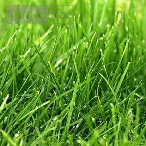 Terrain a batir a vendre Lamballe-Armor 22400 Côtes-d'Armor 454 m2  50670 euros