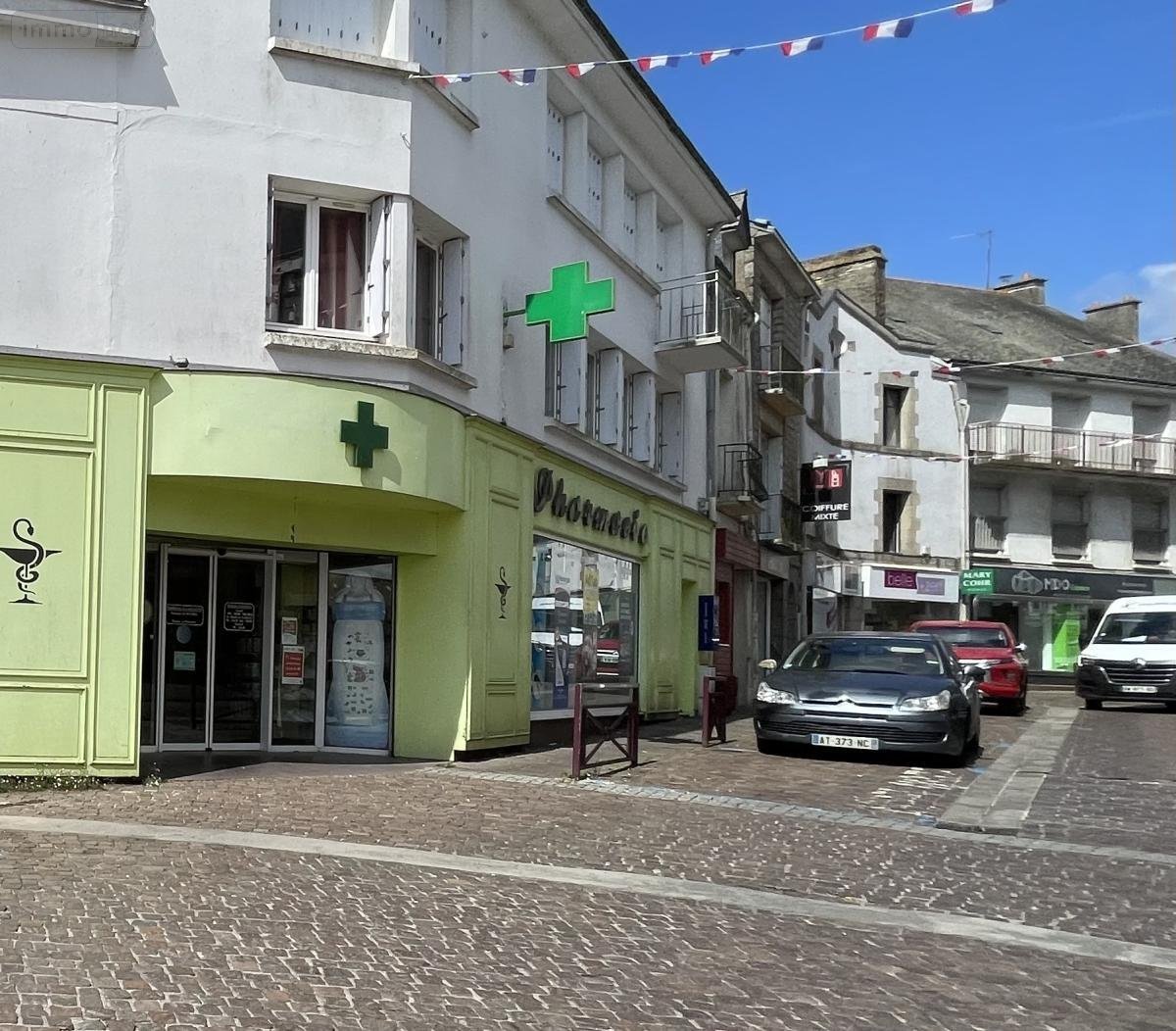 Fonds et murs commerciaux a vendre Locminé 56500 Morbihan 290 m2  230080 euros