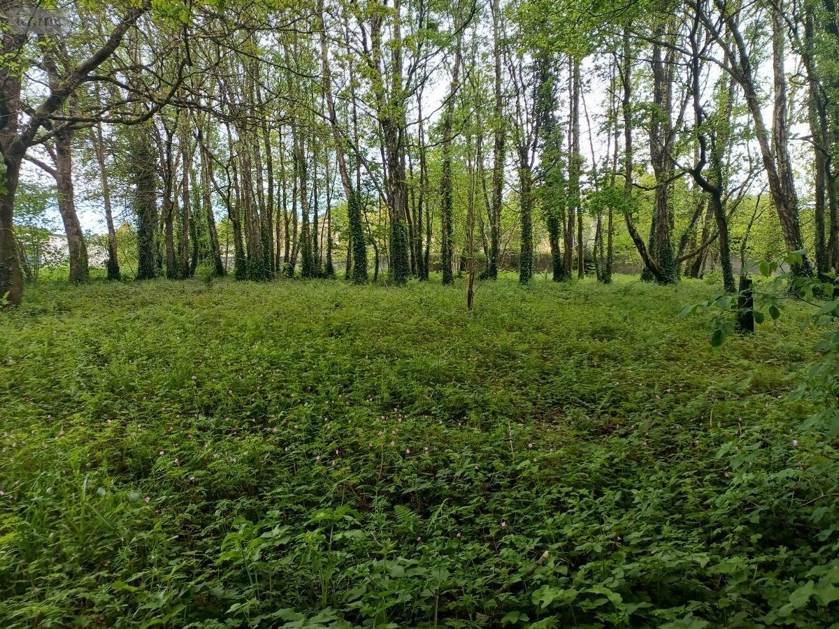 Terrain a batir a vendre Le Faouët 56320 Morbihan 2174 m2  54366 euros