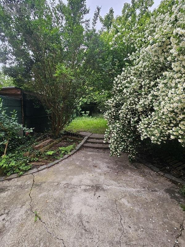 Immeuble a vendre Lille 59000 Nord 121 m2  252000 euros