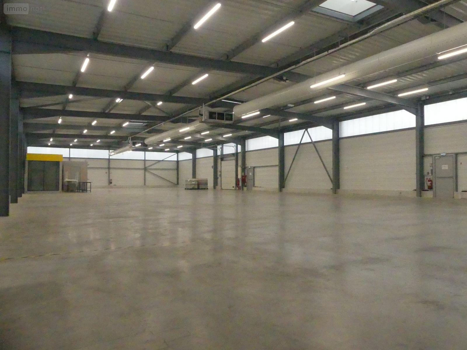Fonds et murs commerciaux a vendre Allaire 56350 Morbihan 905 m2  786600 euros