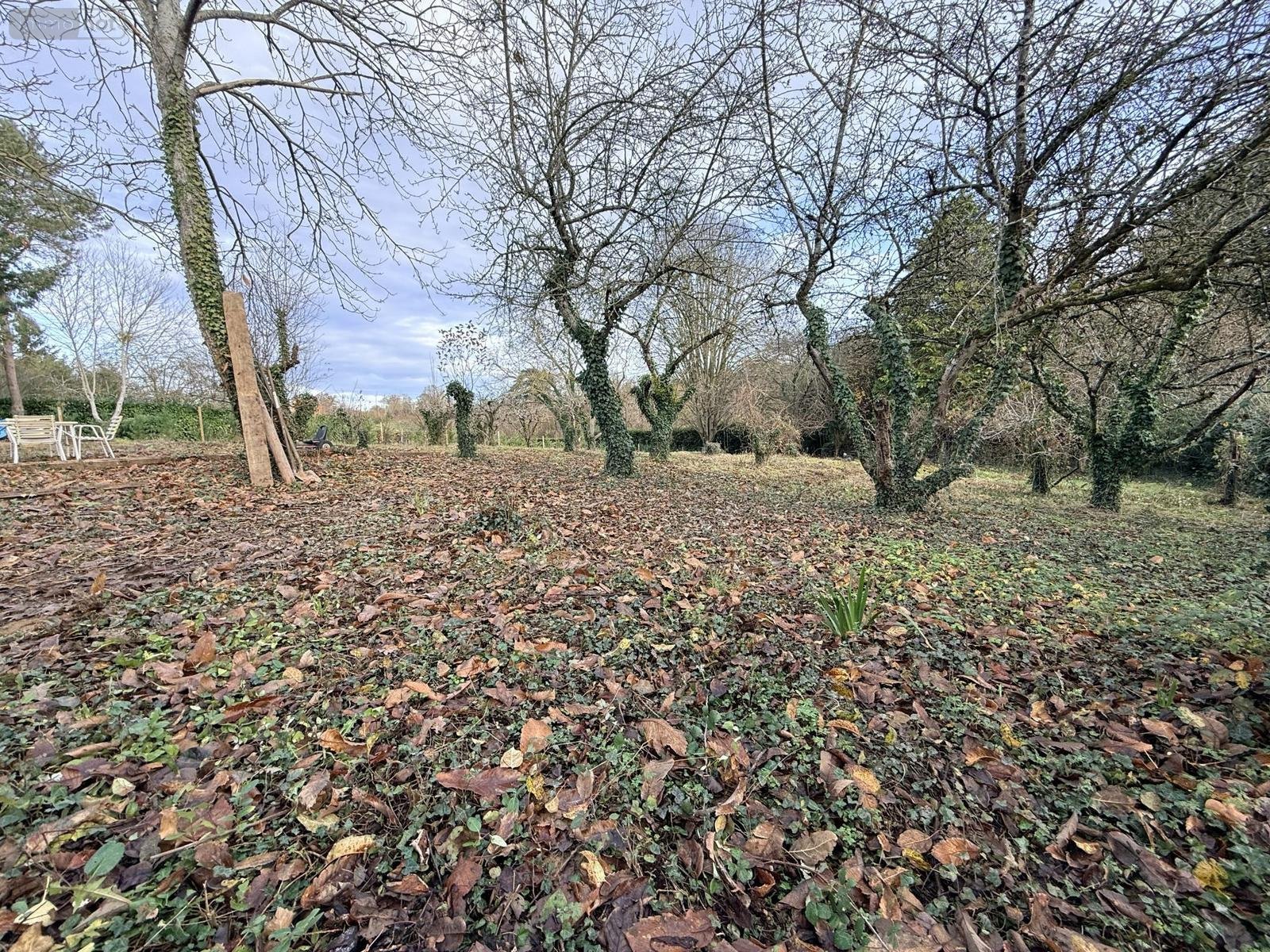 Bien agricole a vendre La Roche-Neuville 53200 Mayenne  22400 euros
