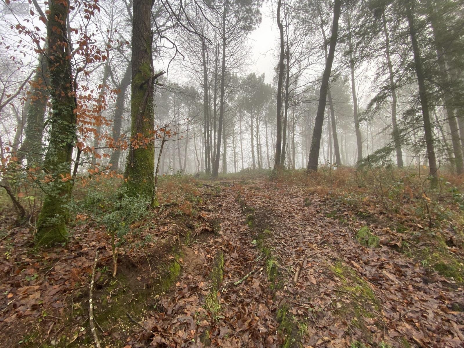 Bien agricole a vendre Inzinzac-Lochrist 56650 Morbihan  12000 euros