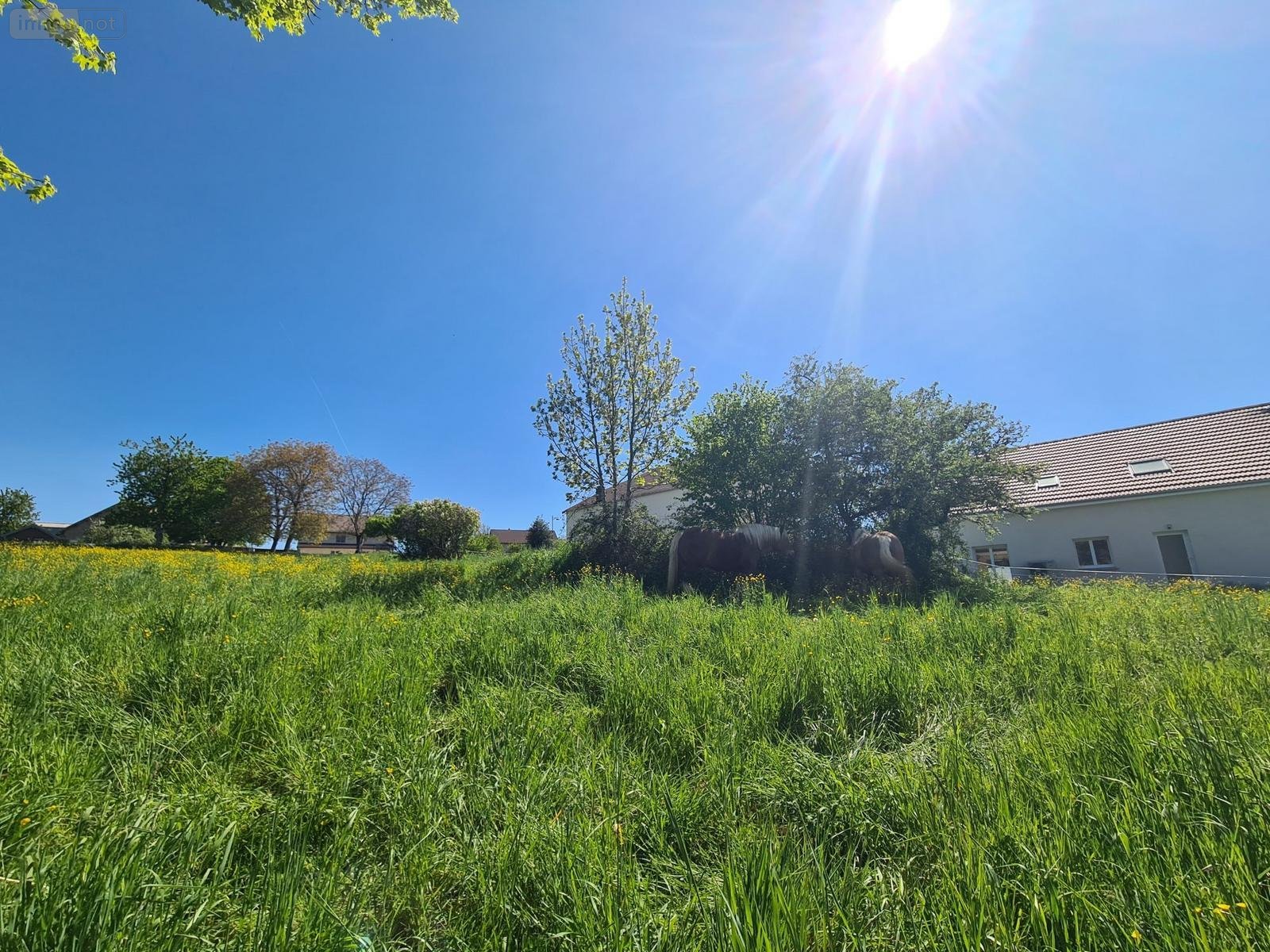 Terrain a batir a vendre Tarcenay-Foucherans 25620 Doubs 887 m2  79385 euros