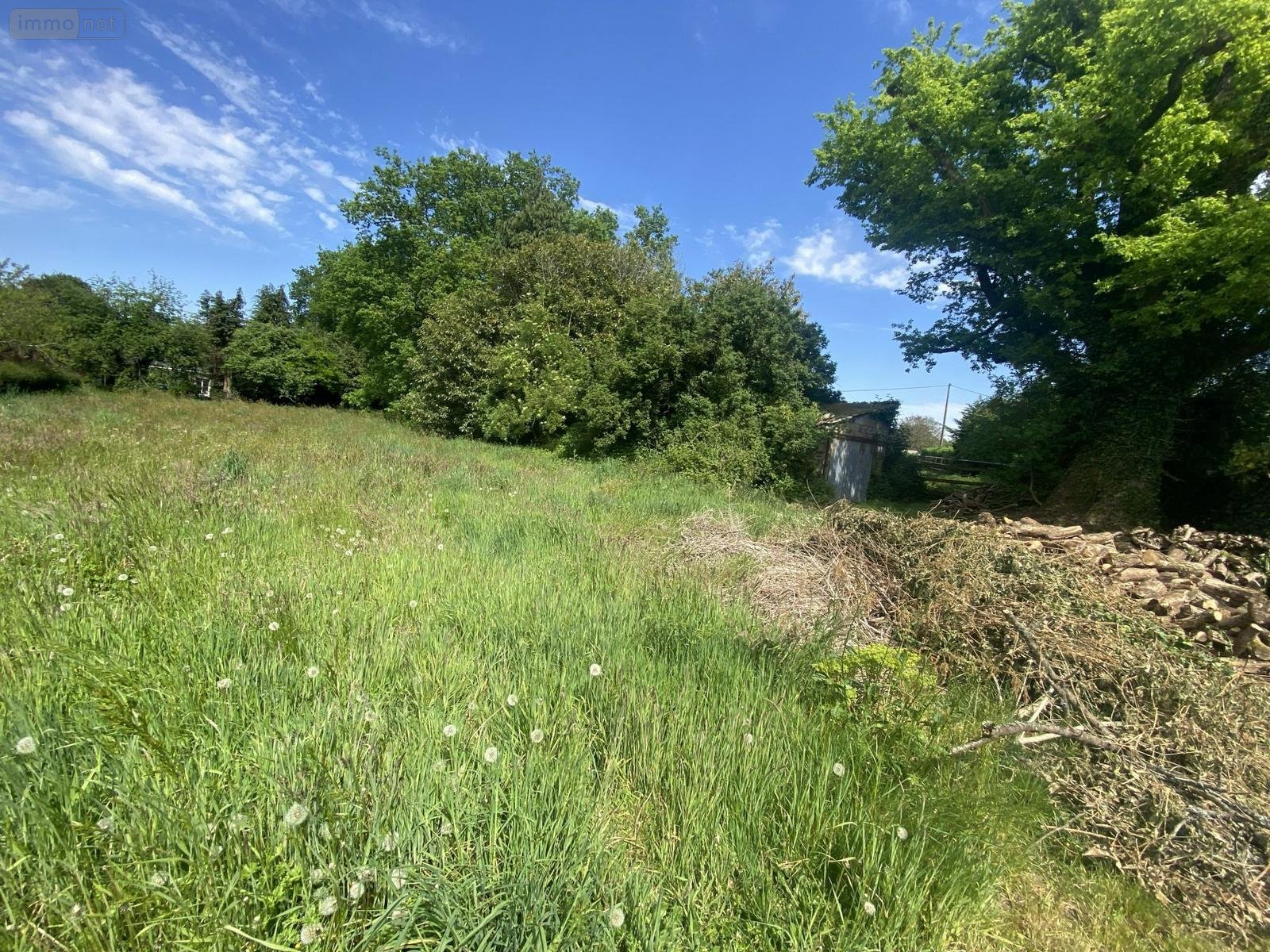 Terrain a batir a vendre Languidic 56440 Morbihan 1000 m2  79140 euros