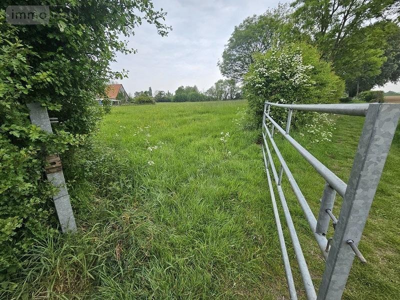 Terrains de loisirs bois etangs a vendre Oudezeele 59670 Nord 14373 m2  46000 euros