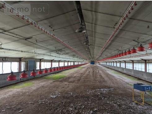 Divers a vendre Plomelin 29700 Finistère 3580 m2  159250 euros